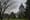 Olympia this week: Rhino horns, medical pot and more