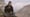 Meet the Man Who Flies with Vultures
