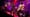 Raphael Saadiq & Black Joe Lewis - Preview