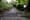 Seattle's got terrible sidewalks. You can help fix them.