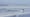Episode 1701: “Costa Rica's Surfing Paradise”