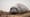 The Elephant Seals of Año Nuevo | Changing Seas | Preview