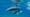 Dolphins: Breaking the Code - Trailer