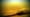 Saving Sawfish - Trailer
