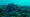 Reefs of Rangiroa