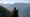 Human Elements: Vancouver Island marmots return to the wild
