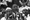 Praise for Selma march, no action on voting rights