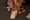 One product likely to be impacted by tariffs? Ballet shoes