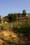 Seattle startup brings the sharing economy to dinner tables, backyard farms