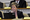Bill would outlaw dealing in human remains