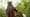 Episode 3 Preview | Living Wonders
