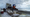 Seadrift Tease