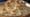 Citrus Meringue Tart with Johanne Killeen and George Germon
