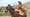 La Recua: The Mule Pack Train