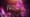 New Year's Eve 2016 with the Detroit Symphony Orchestra