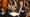 One Singular Sensation: Celebrating Marvin Hamlisch - Promo