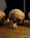What Fish Revealed About This Mysterious Grave