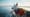 Orca SOS: Sniffing Out Clues to Save the Southern Residents
