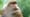 Episode 2 Preview | Borneo