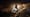 CEDRIC BURNSIDE Preview