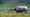 Assam India: Quest for the One-Horned Rhinoceros