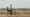 Searching for Amani | Trailer