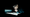 F11 and Be There Trailer