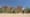 Morocco: Quest for the Kasbah