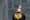 News Wrap: Gunman was targeting NFL, New York mayor says