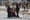 News Wrap: 40 Gazans killed by Israeli gunfire, airstrikes