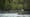 Next on Episode 3 | Forests