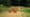 Evidence of the Iron Age Emerges at Althorp
