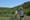 A butterfly’s journey from Bear Creek Mountain to the Yakima Valley