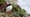 An Iceland Community Rallies to Save Lost Baby Puffins | WILD HOPE
