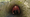 Ape Cave
