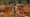 Illegal gold mining in the Amazon