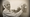 Moyers & Company: Wendell Berry, Poet & Profit