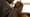 Initiation of a Yoruban Priestess (Osun-Osogbo)