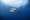 50 years after 'Jaws,' researcher dispels myths about sharks