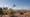 Scientists study rare bloom in the Atacama Desert