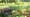 Sonoma Valley Worm Farm: Where Are They Now?