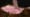 Gravies, Carving and Wine
