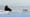 What is the Arctic Death Spiral?