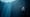 Now Hear This – “The Iceland Sound” Preview
