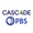 Cascade PBS Ideas Festival Staff