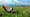 Rick Steves' Europe