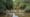 The Neches River: Wild Heart of East Texas