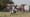 Bengali Muslims face persecution and displacement in India