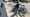 Homeless Outloud Survey