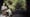 Life on Earth: Attenborough’s Greatest Adventure